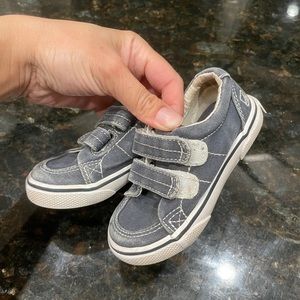 Sperry blue size 5.5 W